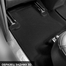 Левый пассажир