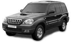 2D коврики EVA в салон и багажник на Hyundai Terracan (2001-2007)